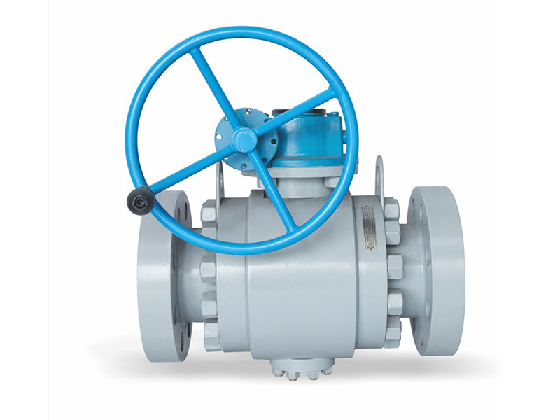 API Trunnion mounted forged steel ball valve